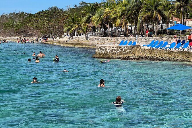 Money Bar Day Pass with Snorkel & Mexican Lunch - The Sum Up