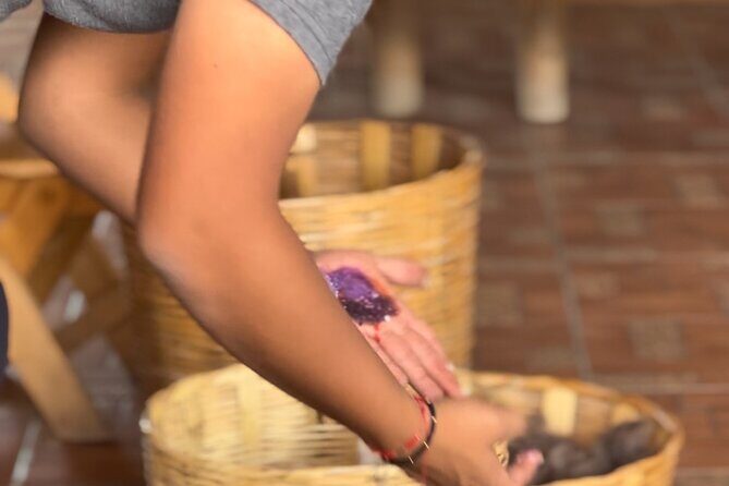 Monte Alban, Mezcal factory, chocolate and artisan houses - Who Should Consider This Tour?