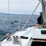 Monterey Private 3 - 4 Hour Whale Watching Cruise - Who This Tour Is Best For