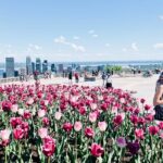 Montreal: 3-Hour Private Car Tour with Expert & Free Pick up - Itinerary Breakdown: From Old Town Charm to Mountain Views