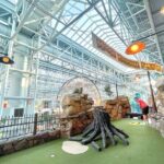 Moose Mountain Adventure Golf in Mall of America - Who is this experience best for?