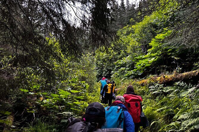 Moose Pass Hiking and Kayak Guided Tour Experience - Authentic Experiences and Unique Aspects