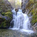 Mount Shasta Sacred Tour - Why This Tour Offers Good Value