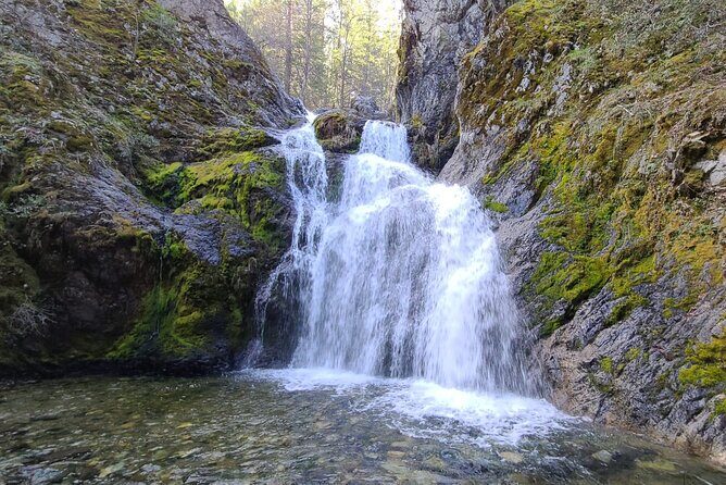 Mount Shasta Sacred Tour - Why This Tour Offers Good Value