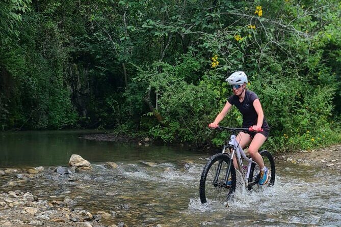 MTB Bike Tour: Monkey Tree + Tule Tree - What Makes This MTB Tour Stand Out?