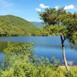 MTB Guided Ride, Tule Tree & Lake Half-Day - What We Loved About This Tour