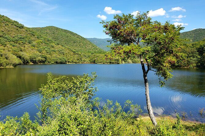 MTB Guided Ride, Tule Tree & Lake Half-Day - What We Loved About This Tour