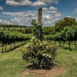 Natchez Trace Parkway Self-Guided Driving Audio Tour - Highlights of the Itinerary