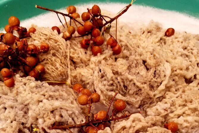 Natural Dyeing and Organic Weaving Workshop in Oaxaca - Practical Details & Logistics