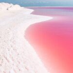 Natural Pink Lake Tour Las Coloradas only from Playa del Carmen - Additional Inclusions & Practical Details