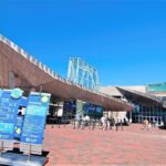 New England Aquarium Admission Ticket in Boston - The Overall Experience: From Crowds to Comfort