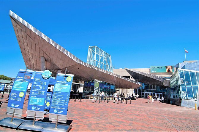 New England Aquarium Admission Ticket in Boston - The Overall Experience: From Crowds to Comfort