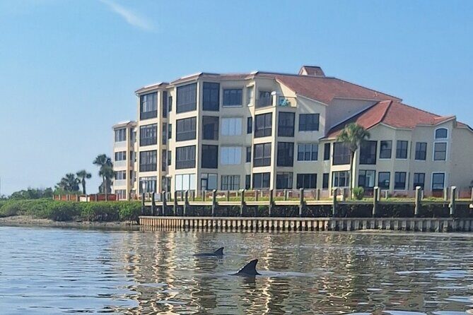 New Smyrna Mangrove Paddle & Mimosa Tour - Why This Tour Works