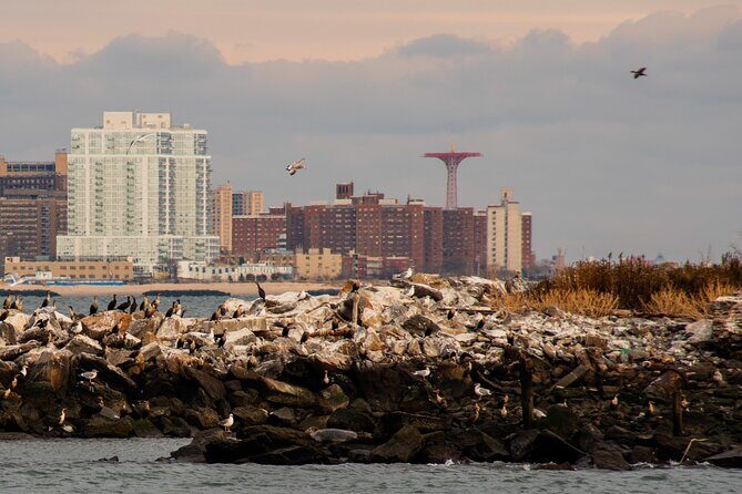 New York City Sightseeing and Seals Boat Tour - Who Will Love This Tour?