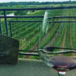 Niagara-on-the-Lake Late Afternoon Wine, Cheese and Spirits Tour - Authentic Insights from Reviewers