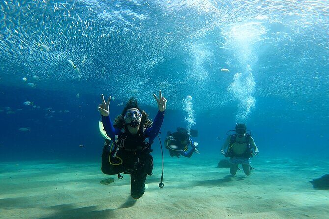 Non-Certified Diving Adventure in Cabo San Lucas - Authentic Insights from Reviewers