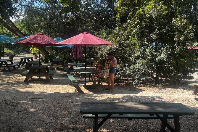 North Shore Foodie Fun: Eat, Explore, Enjoy (Incl. Dole) - What to Expect from the Experience