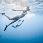 Oahu Open Water Shark Diving Experience - The Sum Up: Is This Tour Right for You?