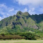 Oahu Private Tour-Full or Half Day-Customizable - A Close Look at the Itinerary