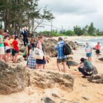 Oahu's Cheapest Circle Island Tour - An In-Depth Look at the Itinerary