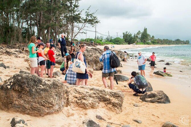 Oahu's Cheapest Circle Island Tour - An In-Depth Look at the Itinerary