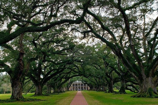 Oak Alley and Laura Plantation Tour with Transportation from New Orleans - A Closer Look at the Itinerary