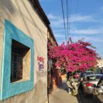 Oaxaca: Beyond the surface - Analyzing the Value