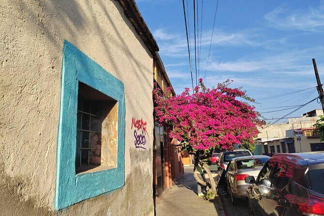 Oaxaca: Beyond the surface - Analyzing the Value