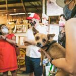 Oaxaca Street Food Tour. Signature Markets Tour - Why Youll Love This Tour