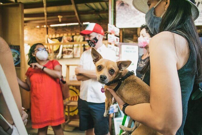 Oaxaca Street Food Tour. Signature Markets Tour - Why Youll Love This Tour