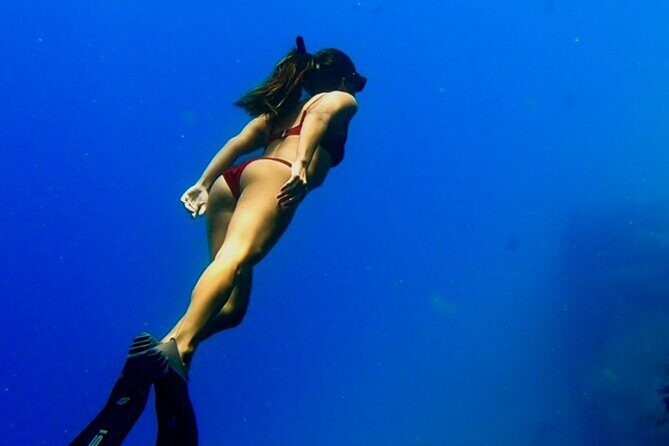 Ocean Safari Tour in Cabo San Lucas - The Sum Up