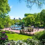 Official Central Park Walking Tour - Final Thoughts: Is It for You?