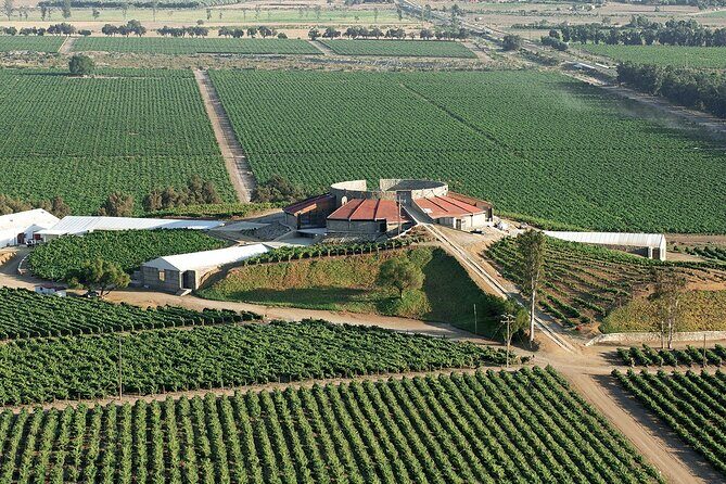 Old Wine Route Tour Experience at Baja California. ALL INCLUSIVE! - What’s Included and What You Should Know