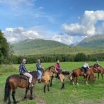 One and Half Hour Trail Ride at The Base of Chugach Mountains - What You Can Expect During the Ride