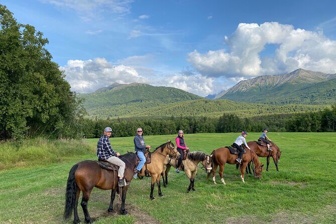 One and Half Hour Trail Ride at The Base of Chugach Mountains - What You Can Expect During the Ride