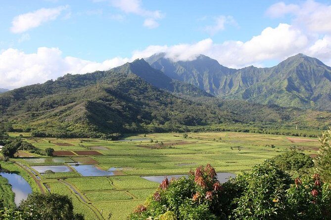 One-Day Tour Hawaii Movie Tour: Island Hopping from Oahu to Kauai - Final Thoughts: Who Is It Best For?