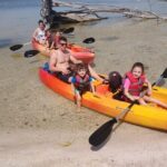 One Single Kayak Rental for 2 hours with Manatee & Dolphin sightings! - What to Expect During Your 2-Hour Kayak Adventure