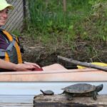Ottawa Ecological Reserve Kayak Tour with TURTLE Sightings - Who Will Love This Experience?
