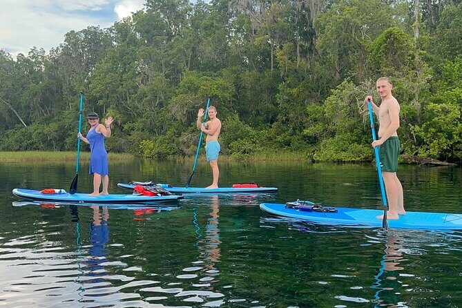 Paddleboard Rental  Three Sisters Springs & Manatee Refuge - What to Expect on the Tour