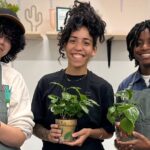 Paint and Plant: The Ultimate Plant Therapy Experience - The Sum Up