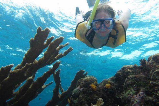 Palancar, Columbia and El Cielo Cozumel Snorkeling Tour - What’s Included and What to Expect