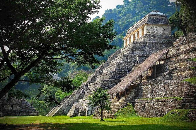 Palenque Archaeological Zone And Agua Azul And Misol-ha Waterfalls - Authentic Experiences and Visitor Insights