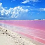 Paradisiacal tour: Las Coloradas Pink Lake and Rio Lagartos with Lunch included. - Final Thoughts