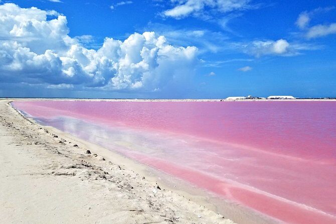 Paradisiacal tour: Las Coloradas Pink Lake and Rio Lagartos with Lunch included. - Final Thoughts  