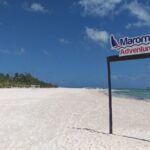 Peaceful experience at the best beach club in Riviera Maya - Why This Tour Offers Good Value