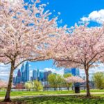 Philadelphia Cherry Blossom 1-Day Tour from New York - FAQ