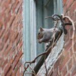 Philadelphia Walking Tour: A Lot of Colonial Nonsense - Why This Tour Offers Value