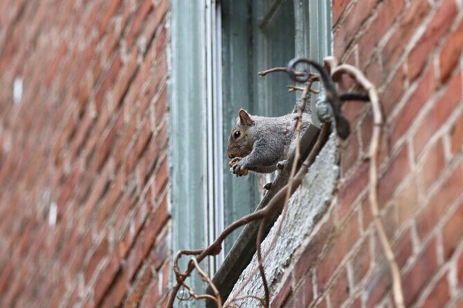 Philadelphia Walking Tour: A Lot of Colonial Nonsense - Why This Tour Offers Value