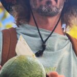 Pick and Taste Tropical Fruit - FAQ