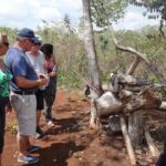 Playa del Carmen Cultural Day Tour - Final Thoughts